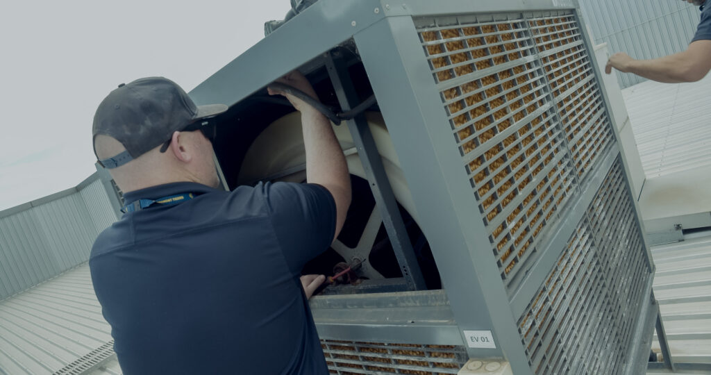 PCA-frame-grabs-25